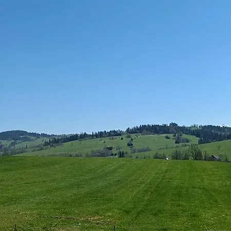 Dom wakacyjny Jagodowe *